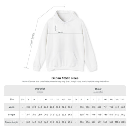 Harmony in Madness Hoodie